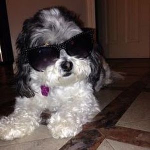 Meet your Posher, Ava